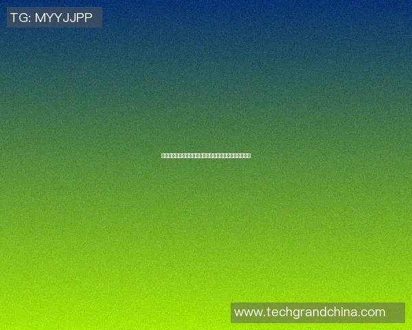 明星重返昔日篮球场地重温青春岁月与好友共聚的感动时刻